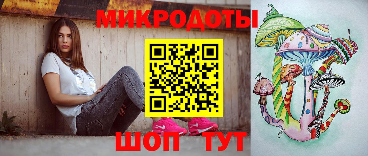Псилоцибиновые грибы Psilocybe Городец