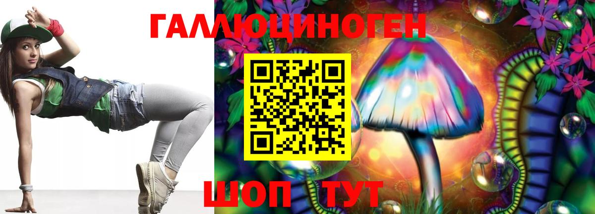 Галлюциногенные грибы Psilocybe  Вход с VPN  купить  цена  Городец 