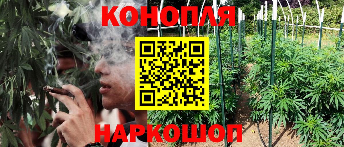 Бошки Шишки VHQ  Каннабис MAZAR  Городец  Вход с VPN 